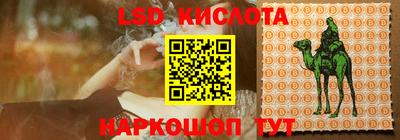 ешки Новозыбков