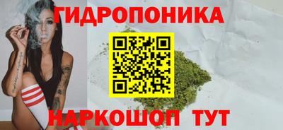 ешки Новозыбков