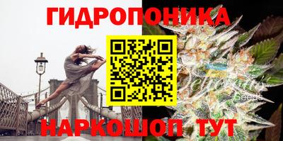 не бодяженный Новокубанск