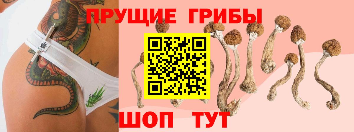 Ханты-Мансийск  Псилоцибиновые грибы ЛСД  Вход с VPN 